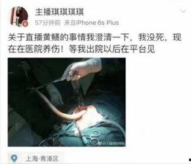 黄鳝门女主播琪琪下载,揭秘网络直播界的风云人物