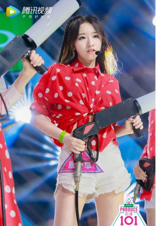 鹿小草背景,探寻自然与生命的和谐共鸣