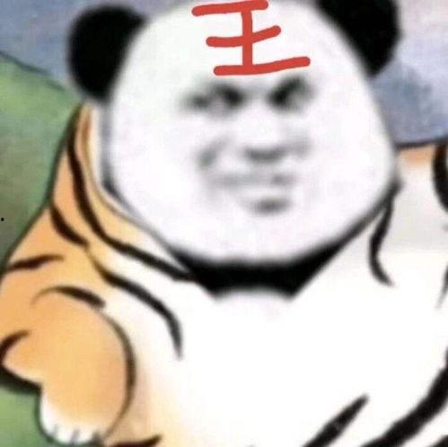 表情包前进后退,前进与后退的趣味解读