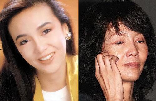 郑裕玲图片,光影交织下的璀璨星辉