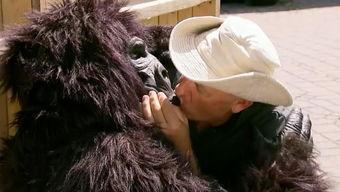 猩猩搞笑视频,动物界的喜剧之王